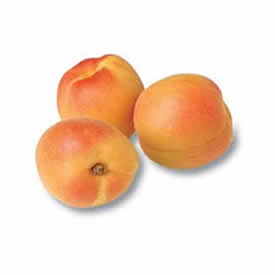 caqui