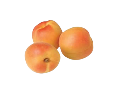 albaricoque